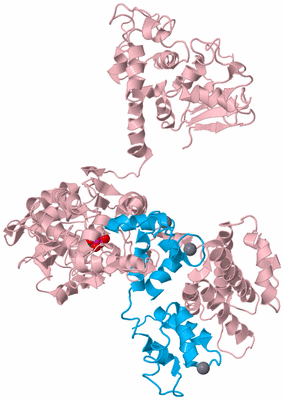 Image Biological Unit 3