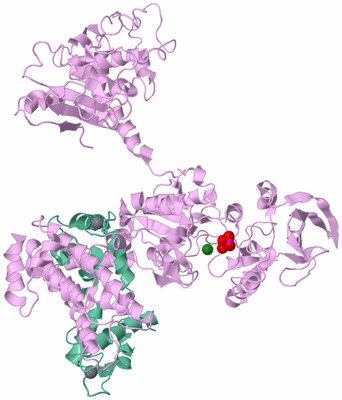 Image Biological Unit 5