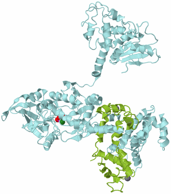 Image Biological Unit 6