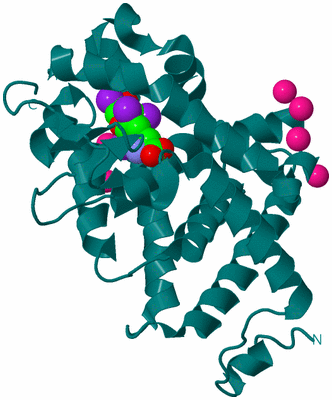 Image Biological Unit 1