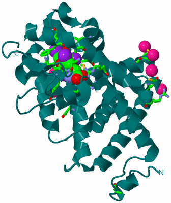 Image Biol. Unit 1 - sites