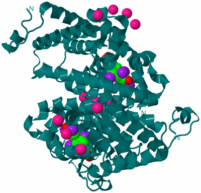 Image Biological Unit 2