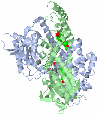 Image Biological Unit 1