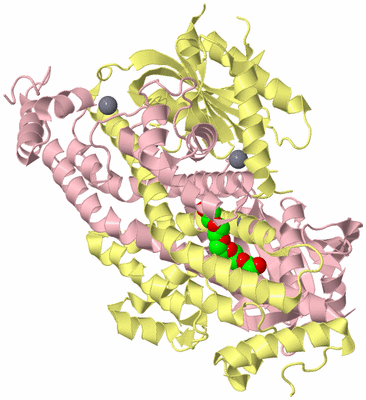 Image Biological Unit 2