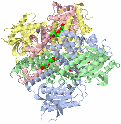 Image Biological Unit 3