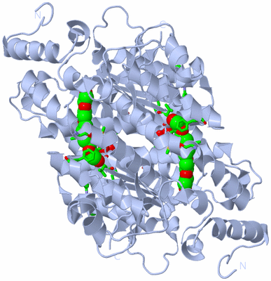 Image Biol. Unit 1 - sites