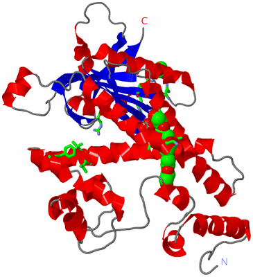 Image Asym. Unit - sites