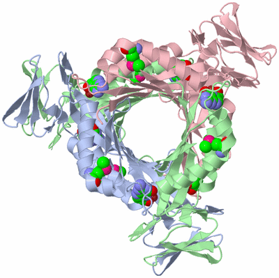 Image Biological Unit 1