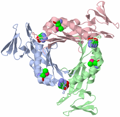 Image Biological Unit 2