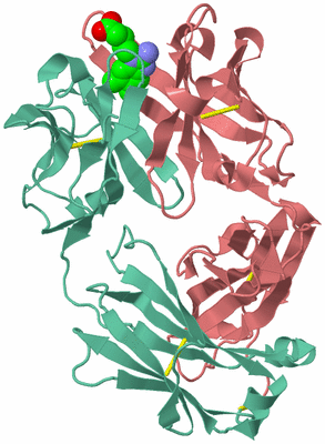 Image Biological Unit 1