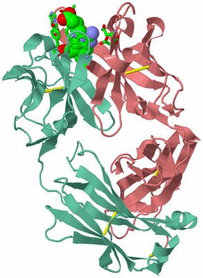 Image Biol. Unit 1 - sites