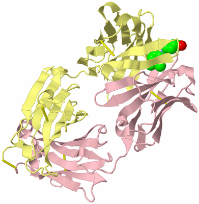 Image Biological Unit 3