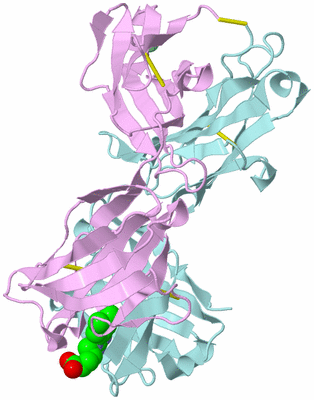 Image Biological Unit 4