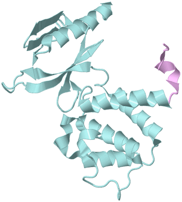 Image Biological Unit 3