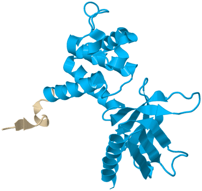 Image Biological Unit 5