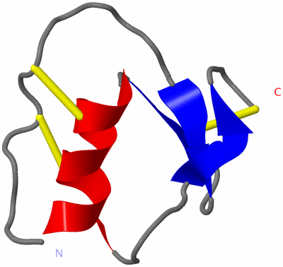 Image NMR Structure - model 1