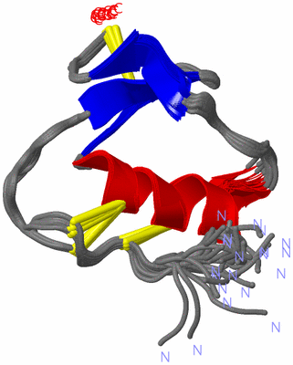 Image NMR Structure - all models