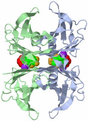 Image Biological Unit 1