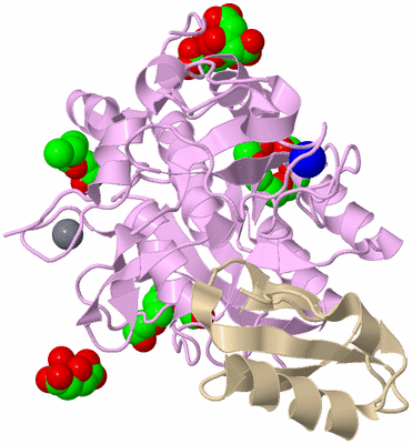 Image Asym./Biol. Unit