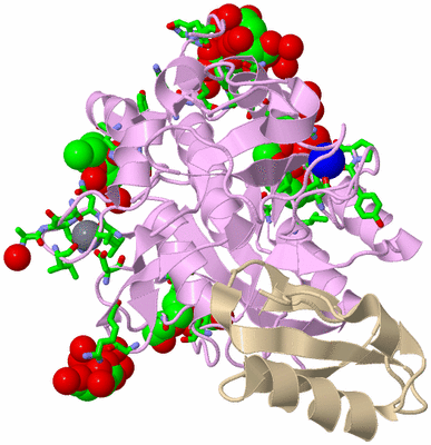 Image Asym./Biol. Unit - sites