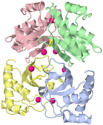 Image Asym./Biol. Unit