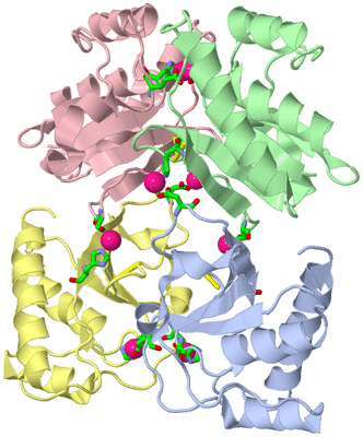 Image Asym./Biol. Unit - sites