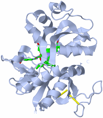 Image Biol. Unit 1 - sites