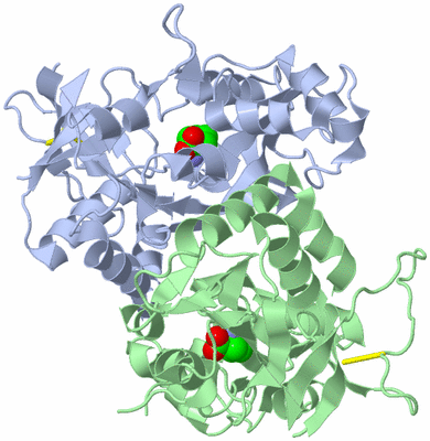 Image Biological Unit 3