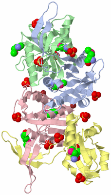 Image Asym./Biol. Unit