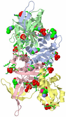 Image Asym./Biol. Unit - sites