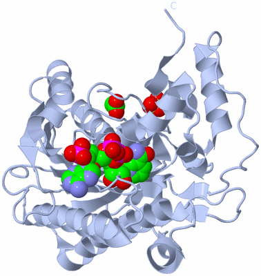 Image Biological Unit 1