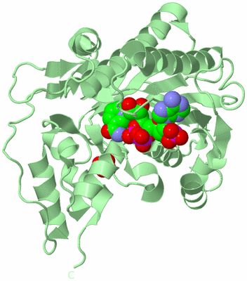 Image Biological Unit 2