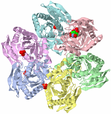 Image Asym./Biol. Unit