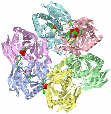 Image Asym./Biol. Unit - sites
