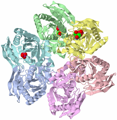 Image Asym./Biol. Unit