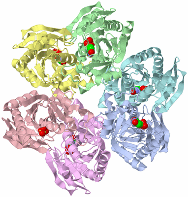 Image Asym./Biol. Unit