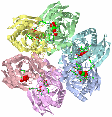 Image Asym./Biol. Unit - sites