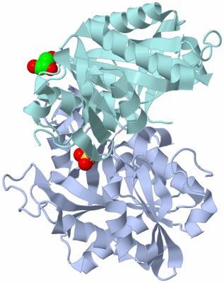 Image Asymmetric Unit