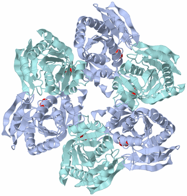 Image Biological Unit 1