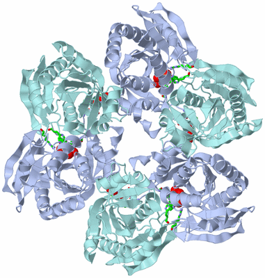 Image Biol. Unit 1 - sites