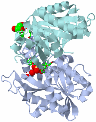 Image Asym. Unit - sites