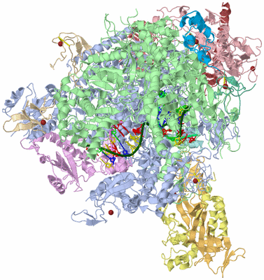 Image Asym./Biol. Unit