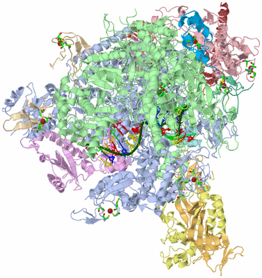 Image Asym./Biol. Unit - sites