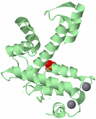 Image Biological Unit 2