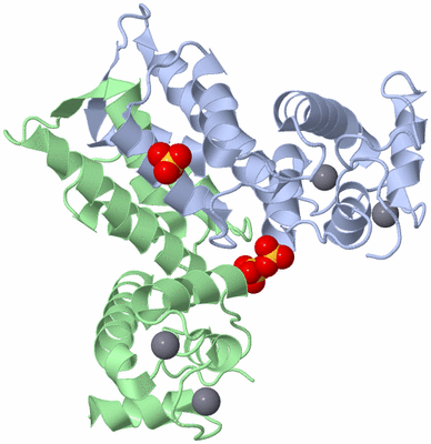 Image Biological Unit 3
