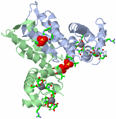 Image Asym. Unit - sites