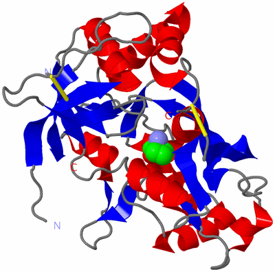 Image Asym./Biol. Unit