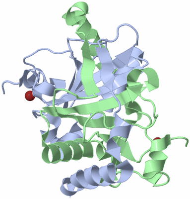 Image Biological Unit 1