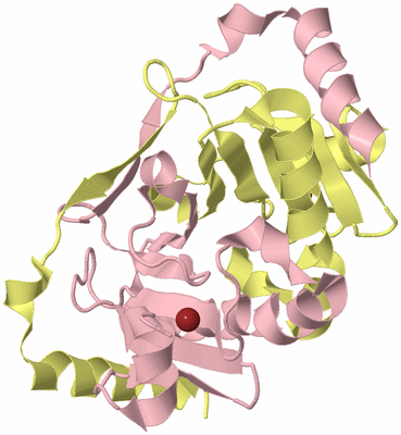 Image Biological Unit 2