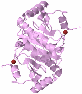 Image Biological Unit 3